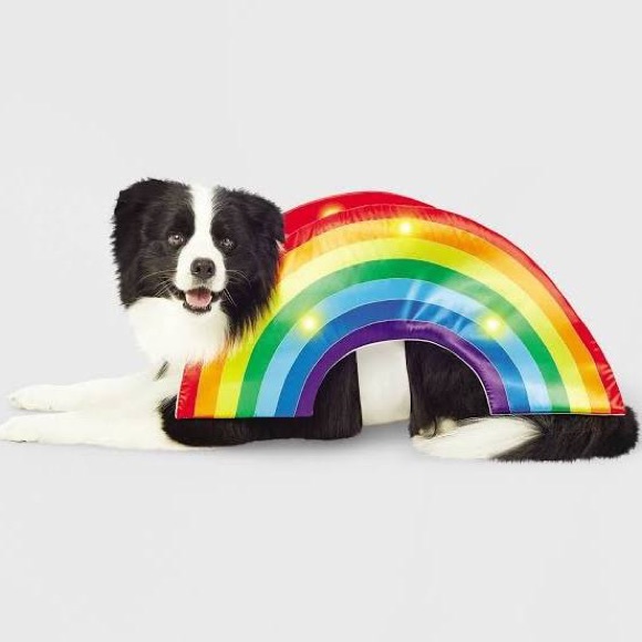 Light up (3 modes) Pet Rainbow Costume- **NEVER USED OR WORN** - Picture 4 of 11